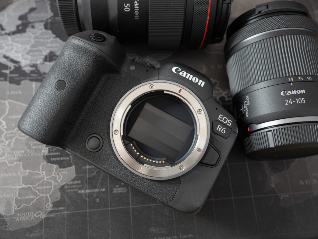 Canon R6 روی سهپایه در جنگل بارانی